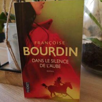 Dans le silence de aube bourdin f