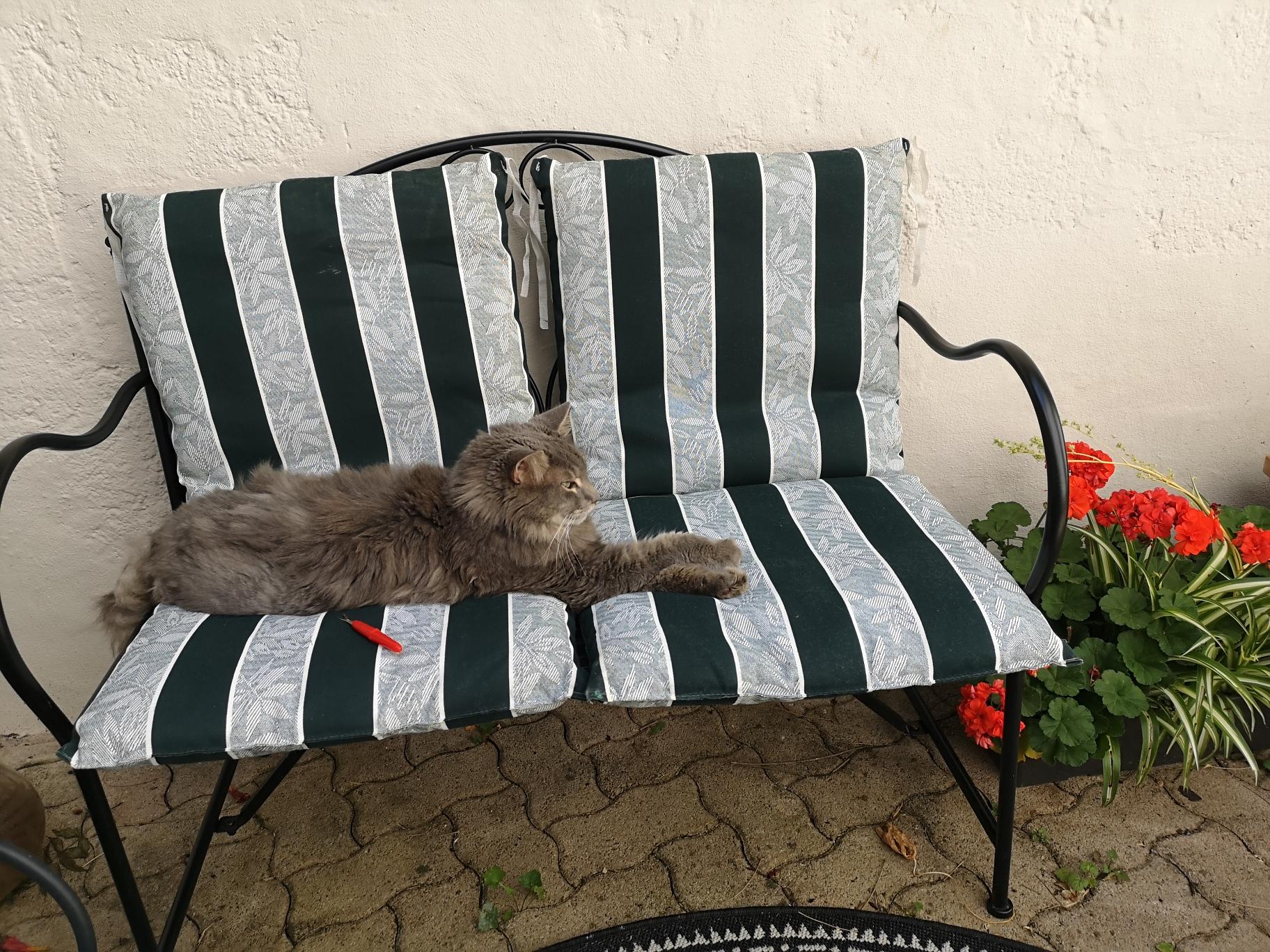 Img 20230702 161017 resized 20230818 100515191 003